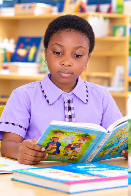 Basic Education